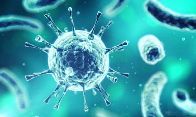  03年病毒为什么叫非典病毒(2003年非典病毒源头在哪)