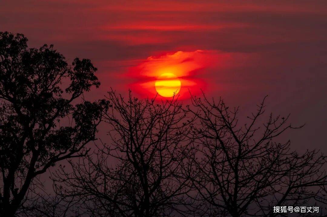 年少不知诗中意，读懂已是雪满头