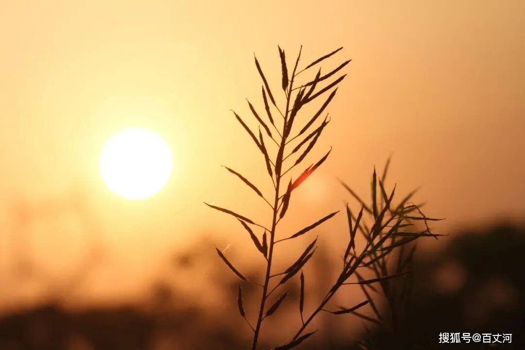 年少不知诗中意，读懂已是雪满头