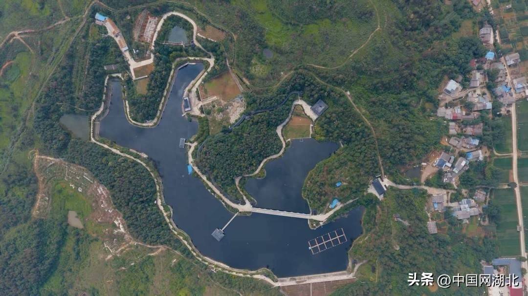 湖北随州一"违建庄园"占用农地百亩:当地自规局启动立案调查(图1)