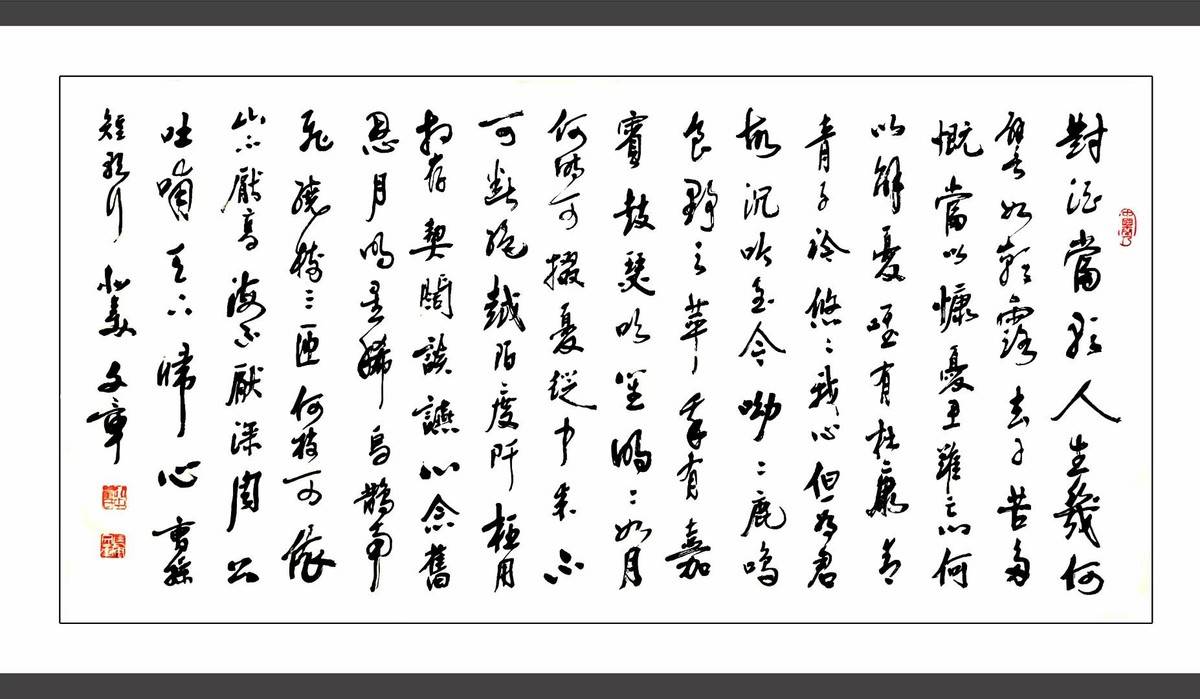 书法家翟文章书曹操《短歌行》两例