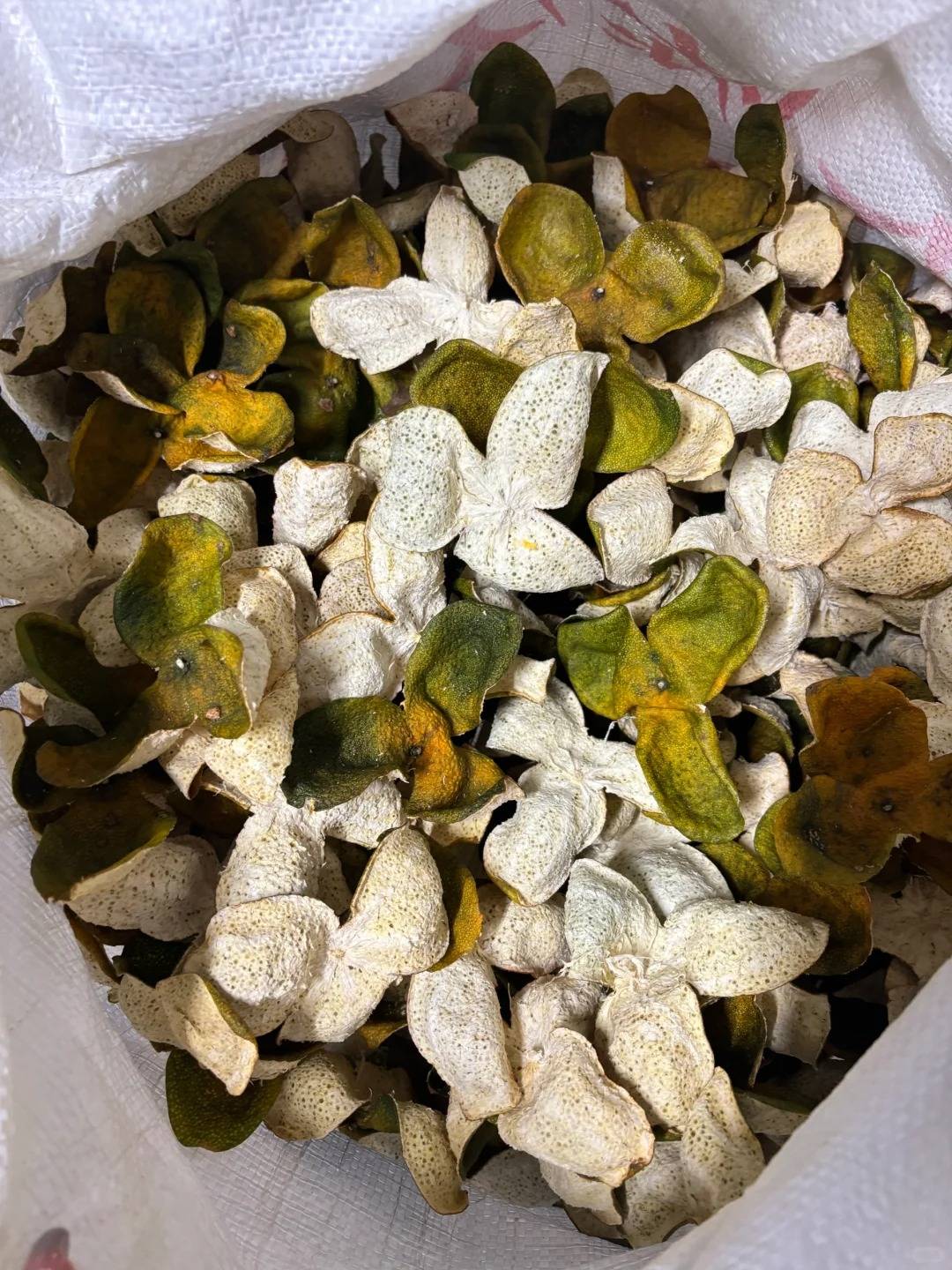 陈皮的图片