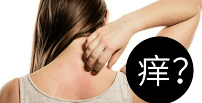 除螨仪什么牌子比较好用?公认好用的除螨仪有哪些?综合汇总床上除螨仪十大名牌排行榜