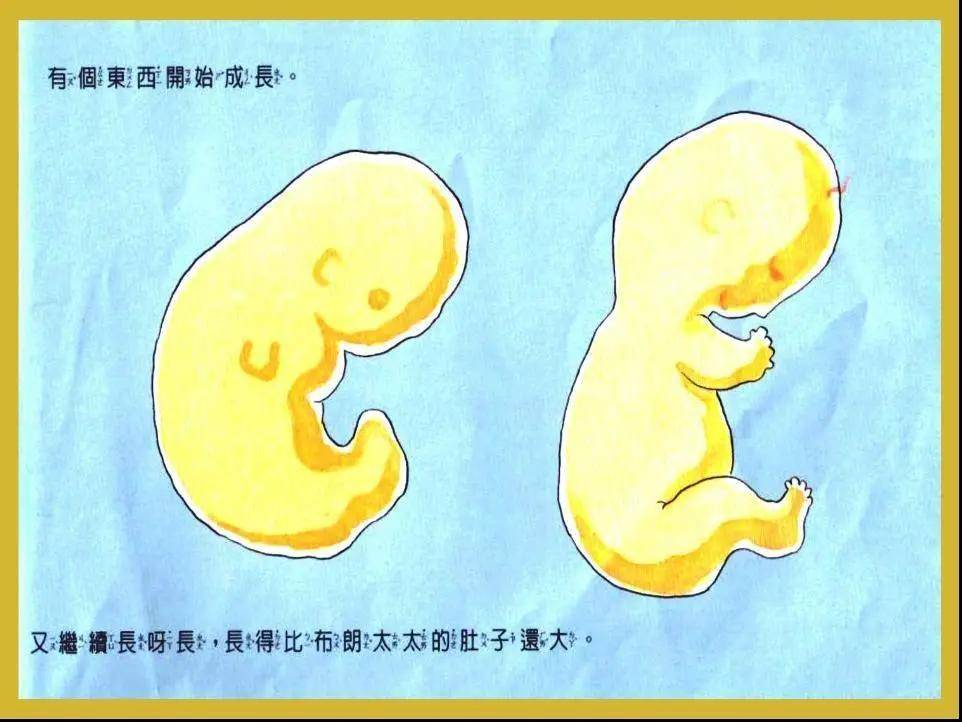 小学生问精子与卵子怎样结合才能生宝宝？妈妈教科书级回答