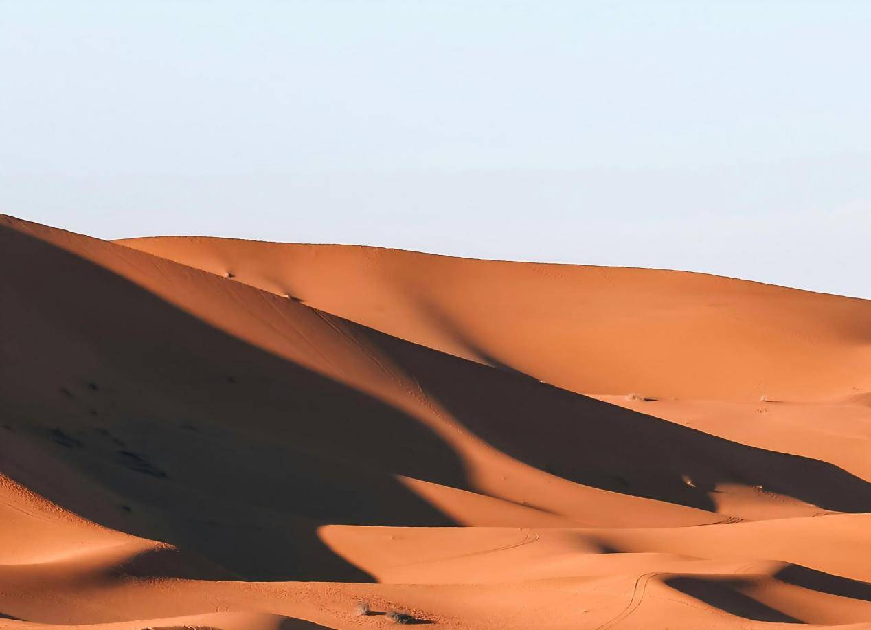 zakariae-daoui-iue7LMCMyDg-unsplash(1)