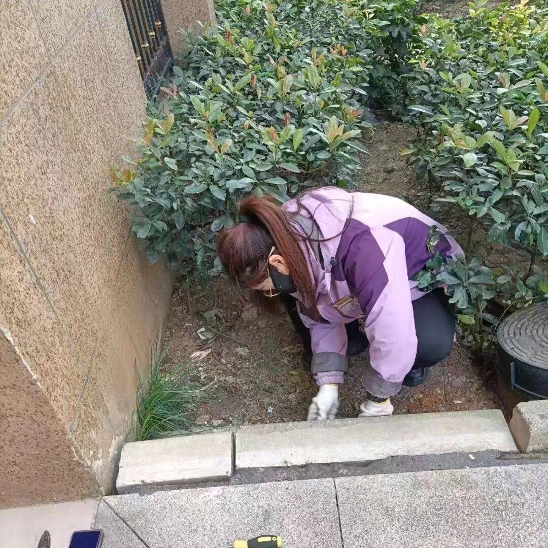 ��Ҷ���������ȡ���������ҵ���ü��أ��ػ�԰����������ů