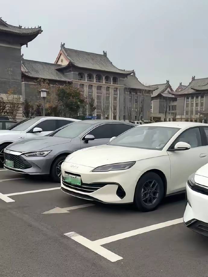 数据打脸一切：为什么中国最懂车的一群人，全换了同一款国产车？