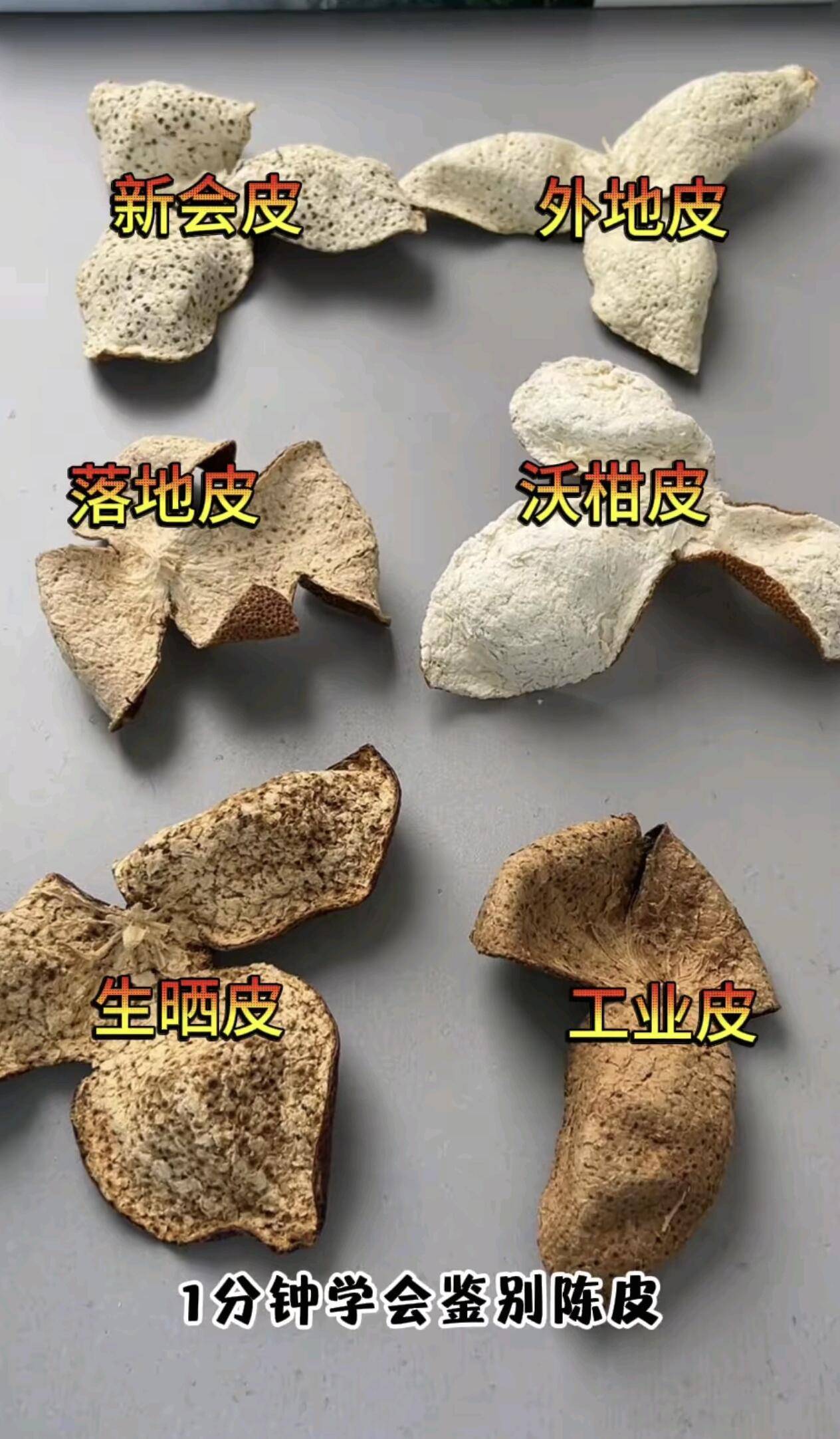 口碑出圈的新会陈皮品牌盘点 2026年这几家获大众持续好评