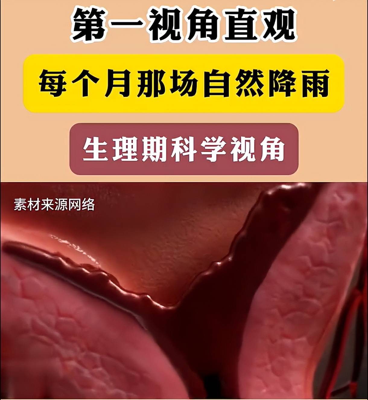 家有女儿,妈妈一定要在孩子来月经后,告诉她这几句子宫的悄悄话：别等不孕不
