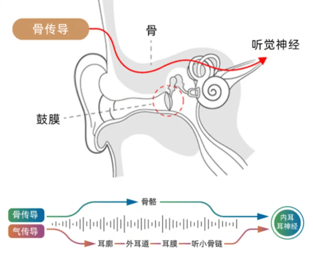 骨传导蓝牙耳机怎么样？2026热门骨传导蓝牙耳机合集整理分享