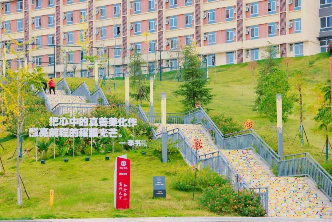 文章配图-3