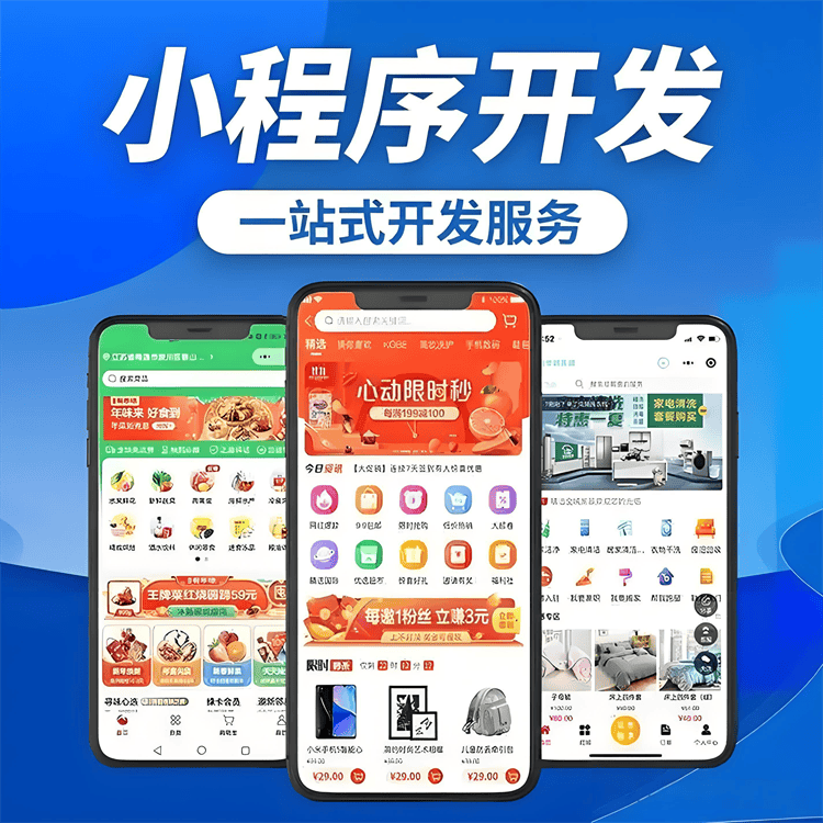 开发小程序制作