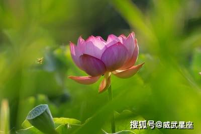 22d3d7bc9a32876a90d8ddb72b77a731_t01fea0a508851da8bc.jpg