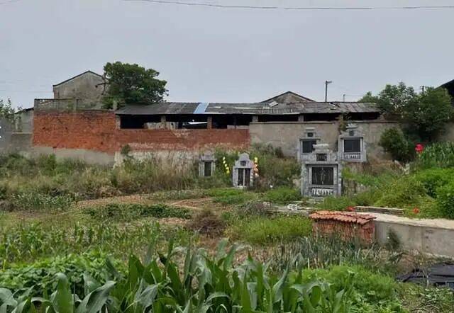 原创            585人的自然村，患癌比例惊人，为何村民反映4年问题仍未解决？