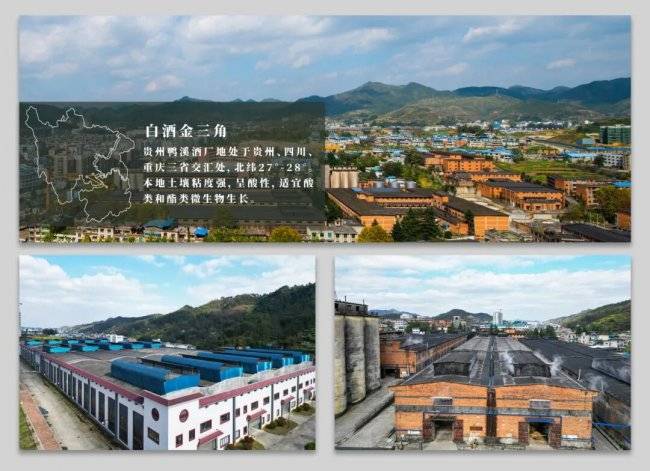 中华老字号鸭溪窖酒业布局高线光瓶赛道