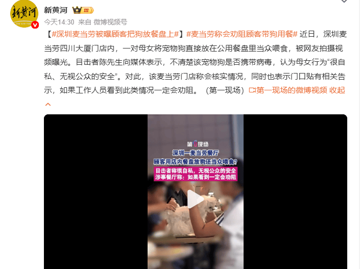 深圳麦当劳被曝顾客把狗放餐盘上