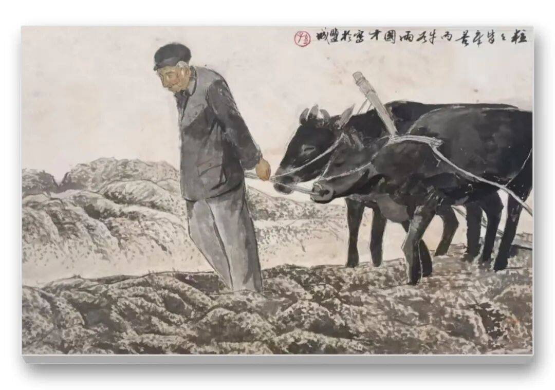文章配图-5