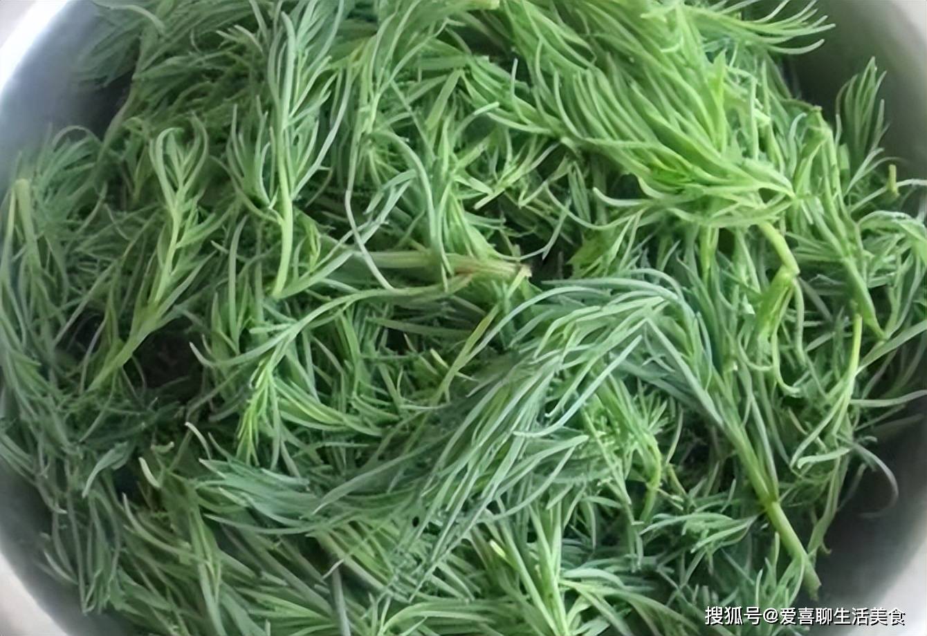 原创            7月这菜抓紧吃，清肺护眼，祛湿通便，鲜嫩营养高，错过再等一年！