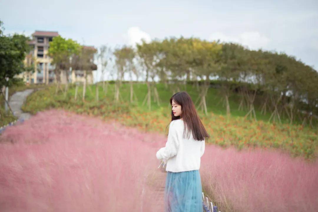 文章配图-3