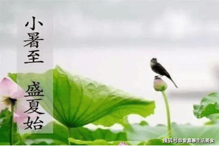 原创            明天小暑，建议：少吃绿豆西瓜，多吃这5样，补足阳气，赶走寒湿，身强体壮过三伏！