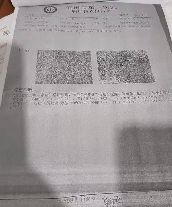 文章配图-2