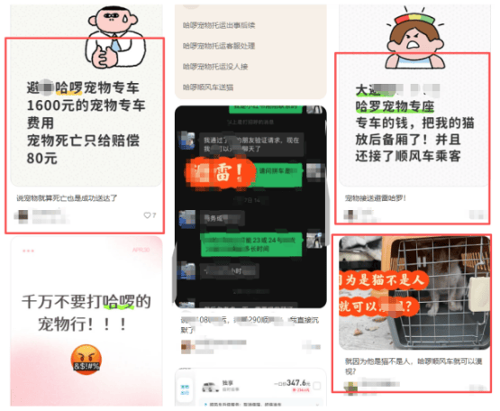 多位用户称哈啰送宠平台托运宠物遭遇宠物死亡:司机信息不符(图4) 文章配图-1