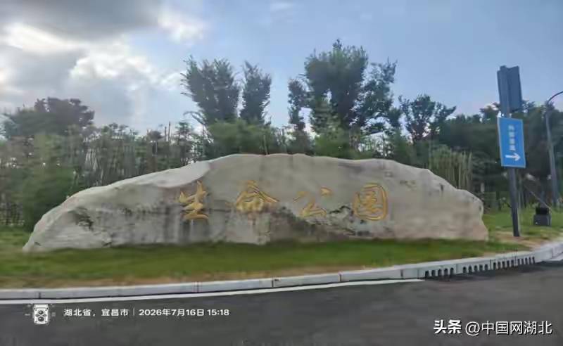 宜昌绿化工程结算价遭"腰斩"引争议 涉事审计方屡登监管黑榜(图1) 文章配图-1