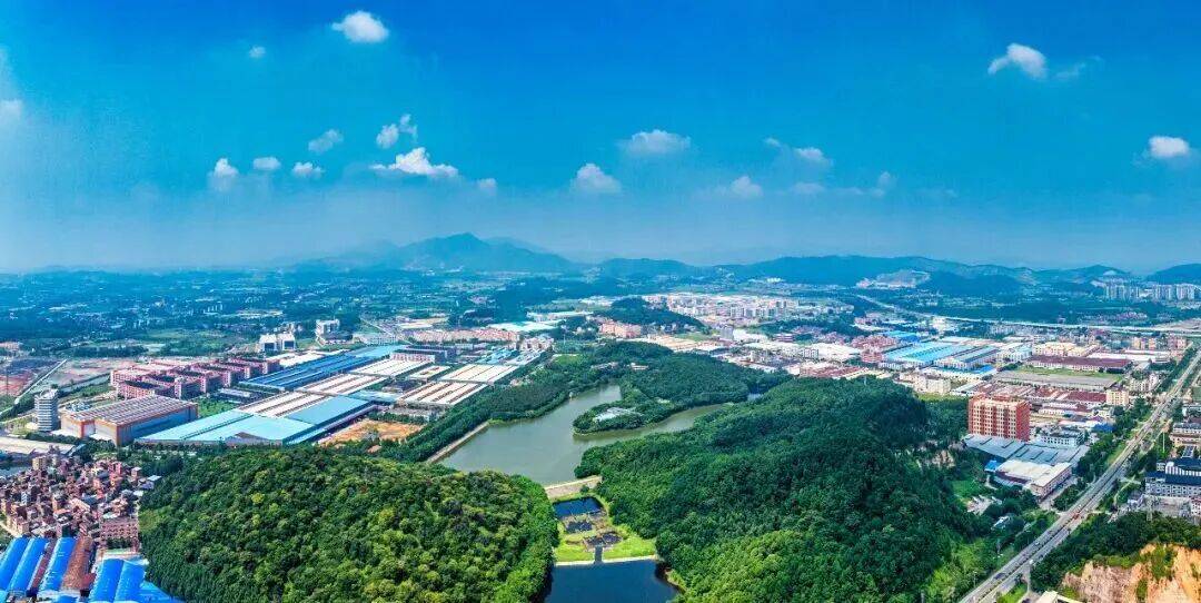动工！领军企业再加码佛山(图5)