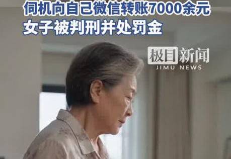 女子上门时偷看“准婆婆”的支付密码，给自己转账7000，法院判了