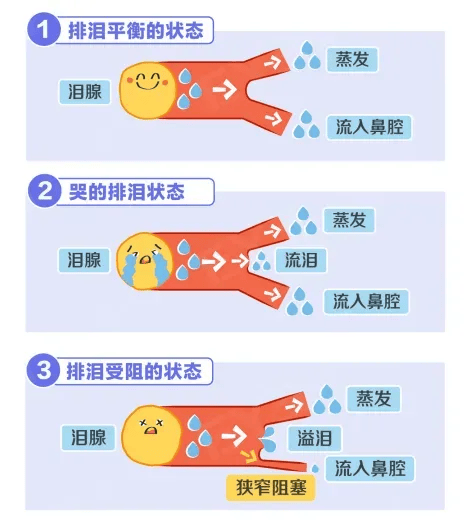 文章配图-2