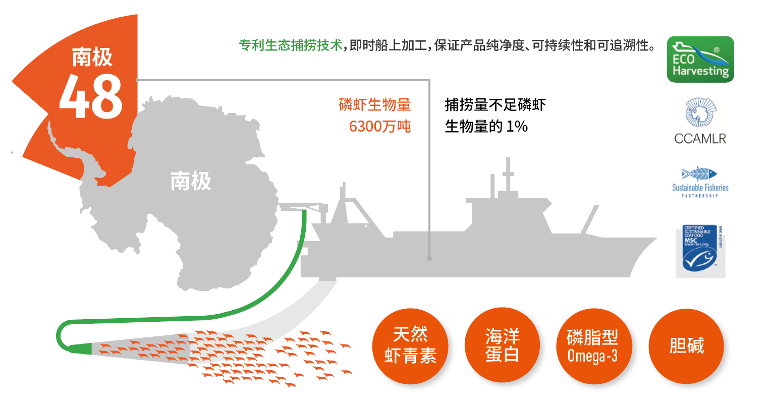 鱼粉波动不用慌!全球磷虾龙头企业阿克揭秘南极磷虾全优势(图6) 鱼粉波动不用慌!全球磷虾龙头企业阿克揭秘南极磷虾全优势(图6)