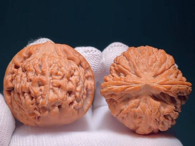 如何挑选原树莲花麻核桃 文玩收藏选购参考