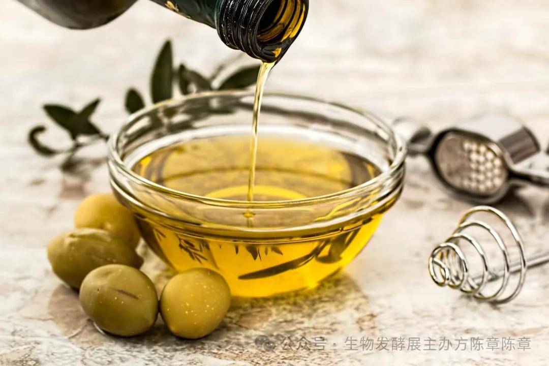 成都智楷分离科技有限公司诚邀您莅临2026第十七届杭州生物发酵展