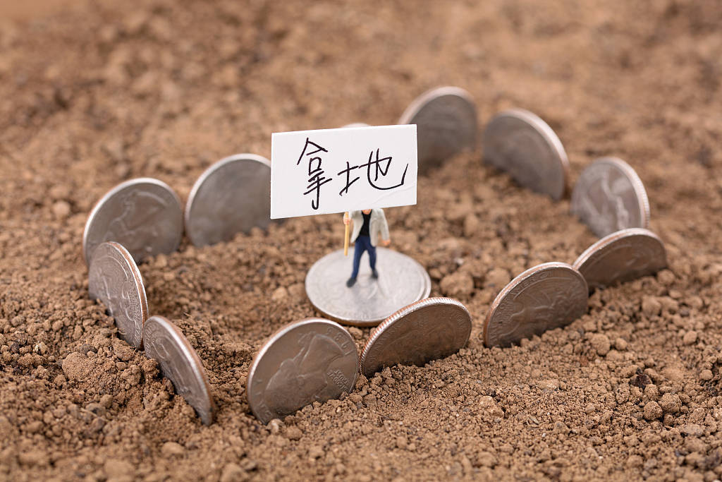 官司未结争议土地已被拍卖，哪有“诚信政府”的样子