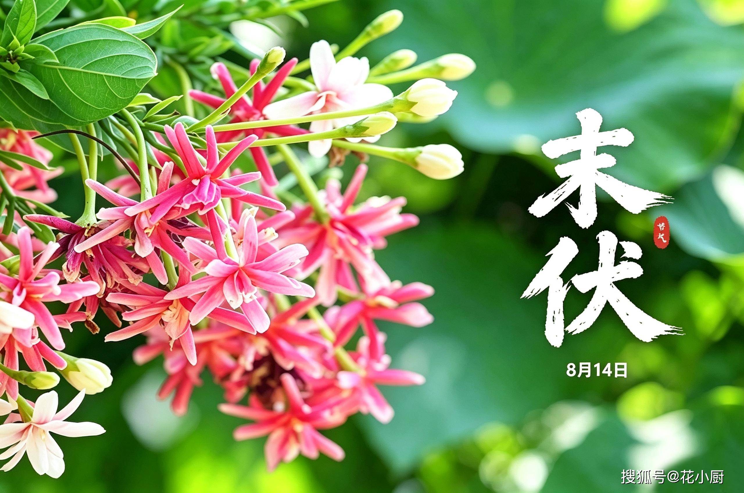 原创            明日末伏，无论贫富，别忘了吃末伏传统3宝，迎秋纳福，安稳入秋