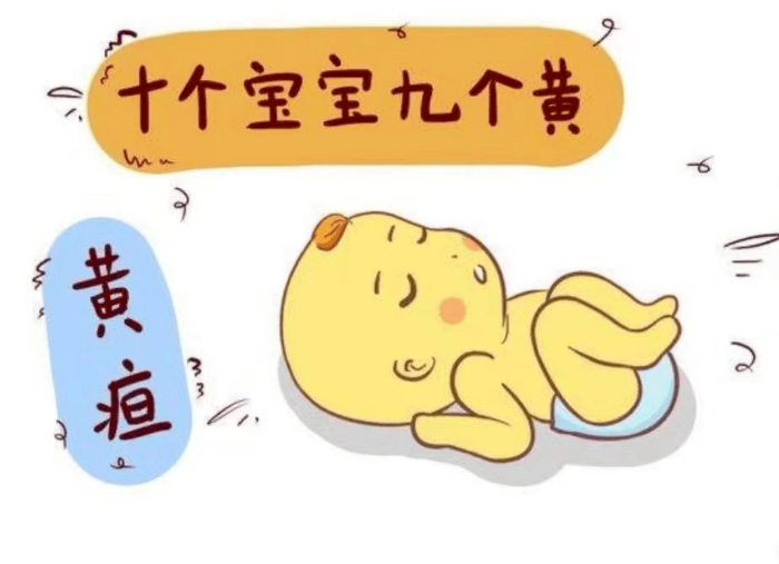 文章插图