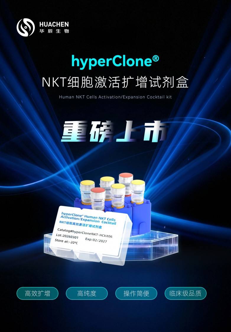 ​NKT细胞为何难以获取？华辰生物带来标准化扩增方案(图1)