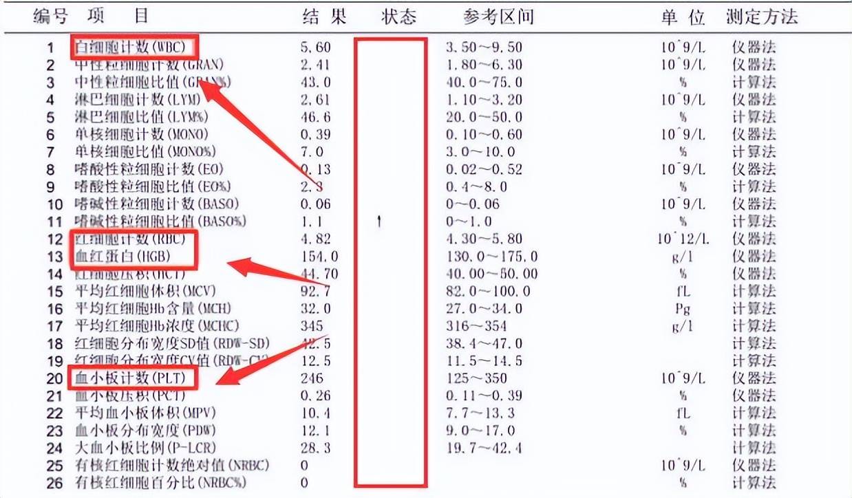 原创            肿瘤科主任：只要血常规没这3个箭头，癌症风险或不用太焦虑