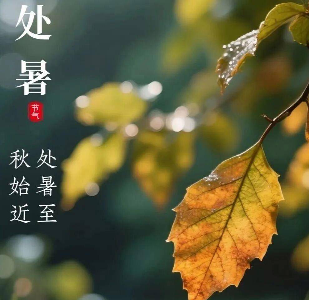 原创            处暑，别忘吃“秋补3宝”，润燥解暑，安稳过秋天