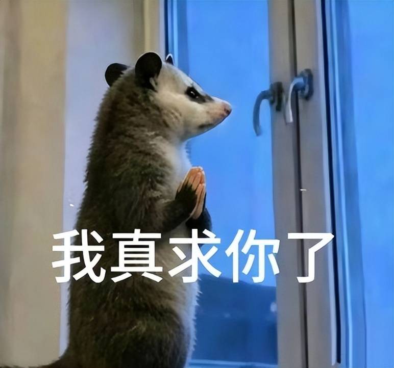 文章配图-1