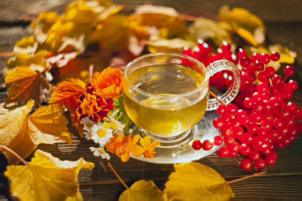 秋天喝什么茶减肥最快？试试这5款茶