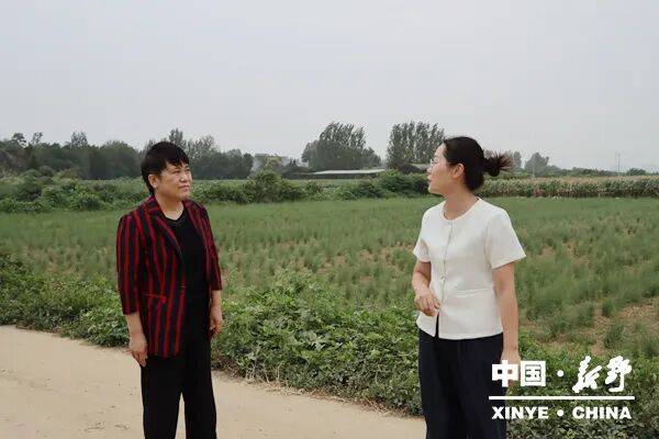 县领导李爽调研旅游公路建设情况
