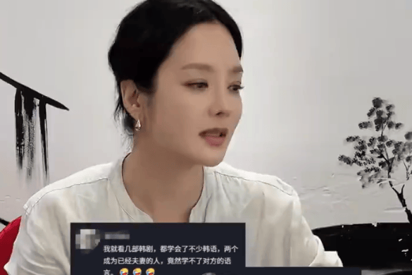 蔡琳揭秘与高梓淇离婚真相：备孕艰辛，生产时独自驾车前往医院