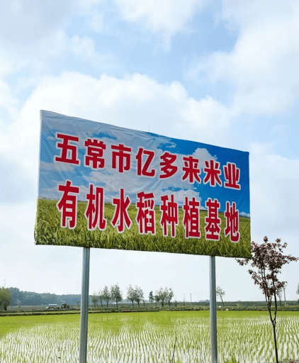 文章配图-2