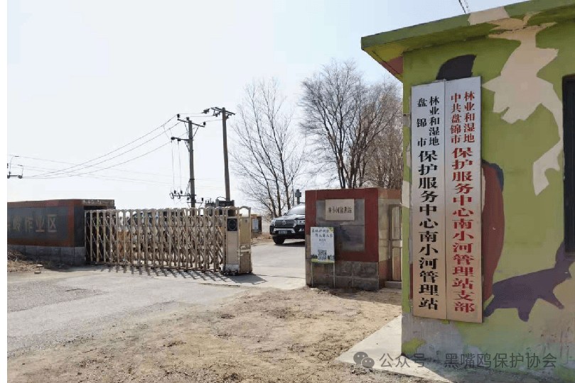文章配图-2