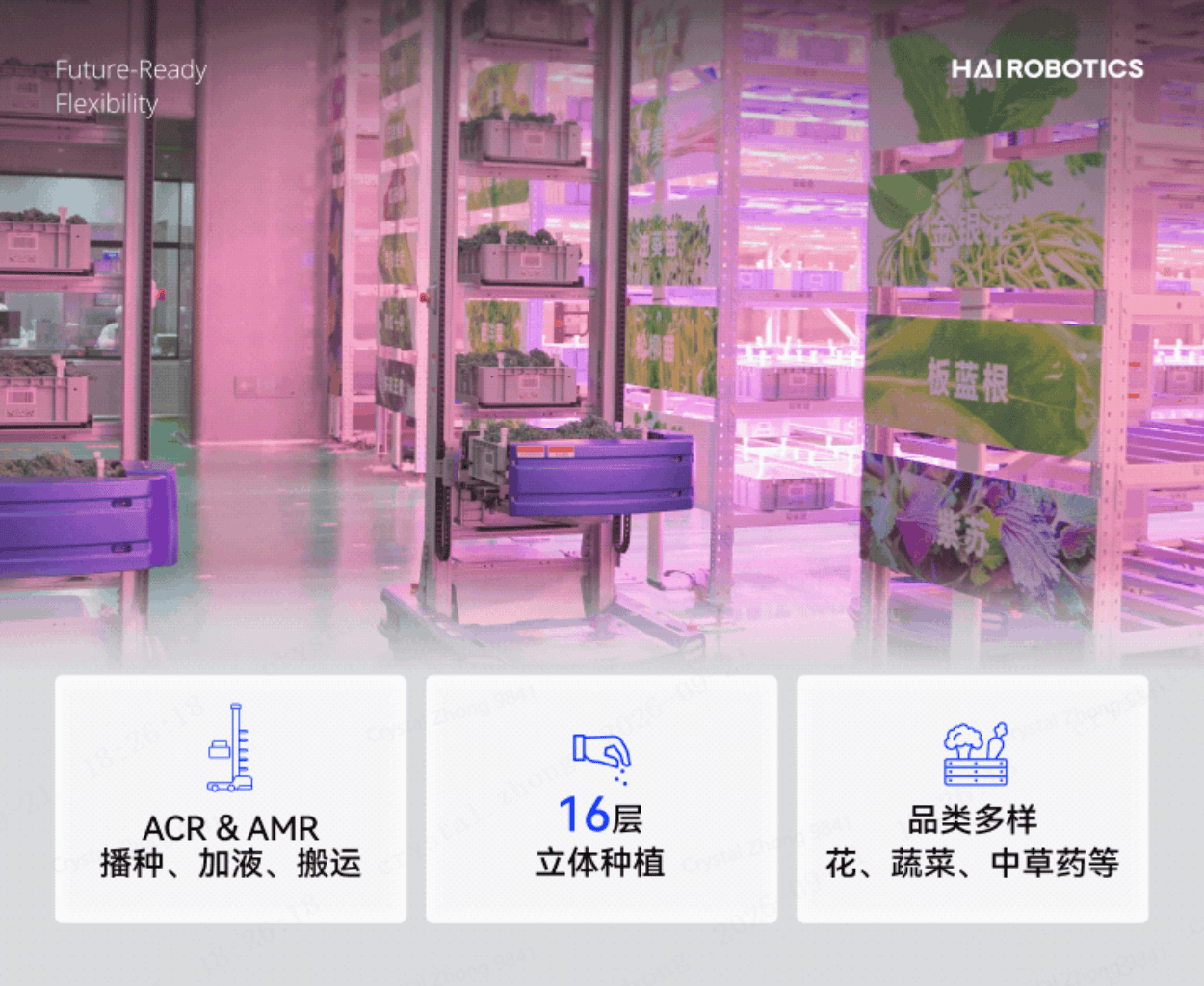 950平米种植区年产180吨!海柔创新仓储机器人让植物工厂重新定义农业产能(图3) 950平米种植区年产180吨!海柔创新仓储机器人让植物工厂重新定义农业产能(图3)