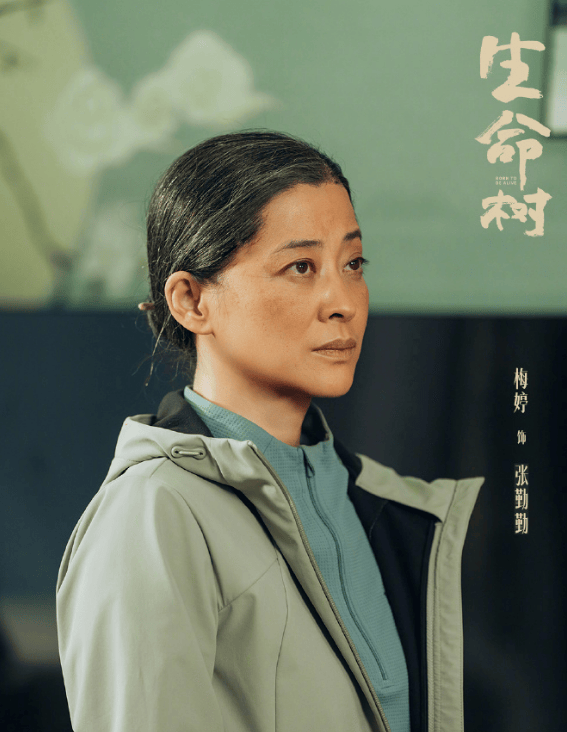 第33届金鹰奖颁奖盛典：朱亚文梅婷荣膺最佳配角，多部佳作获奖（更新中）