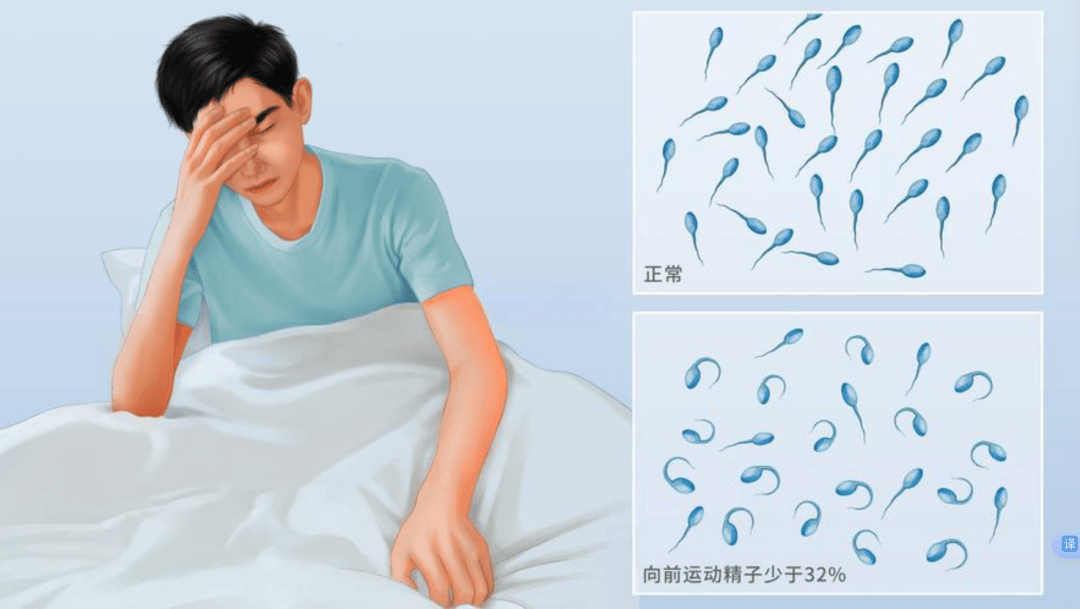 少精、弱精、无精...还能生吗？