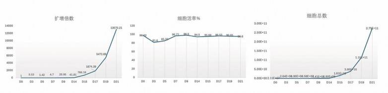 华辰生物iNKT细胞高效激活扩增试剂盒正式上市,助力通用型免疫细胞治疗(图9) 华辰生物iNKT细胞高效激活扩增试剂盒正式上市,助力通用型免疫细胞治疗(图9)