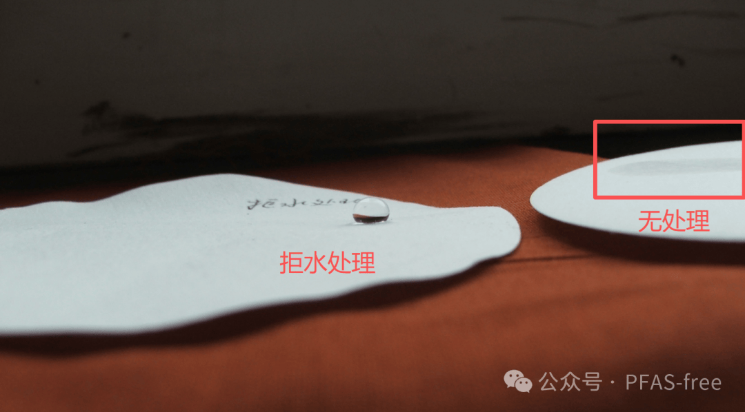 【科普】当"永久化学品"PFAS开始滴进眼睛里:PFAS眼药水的安全账至今还没算清(图3) 【科普】当“永久化学品”PFAS开始滴进眼睛里:PFAS眼药水的安全账至今还没算清(图3)
